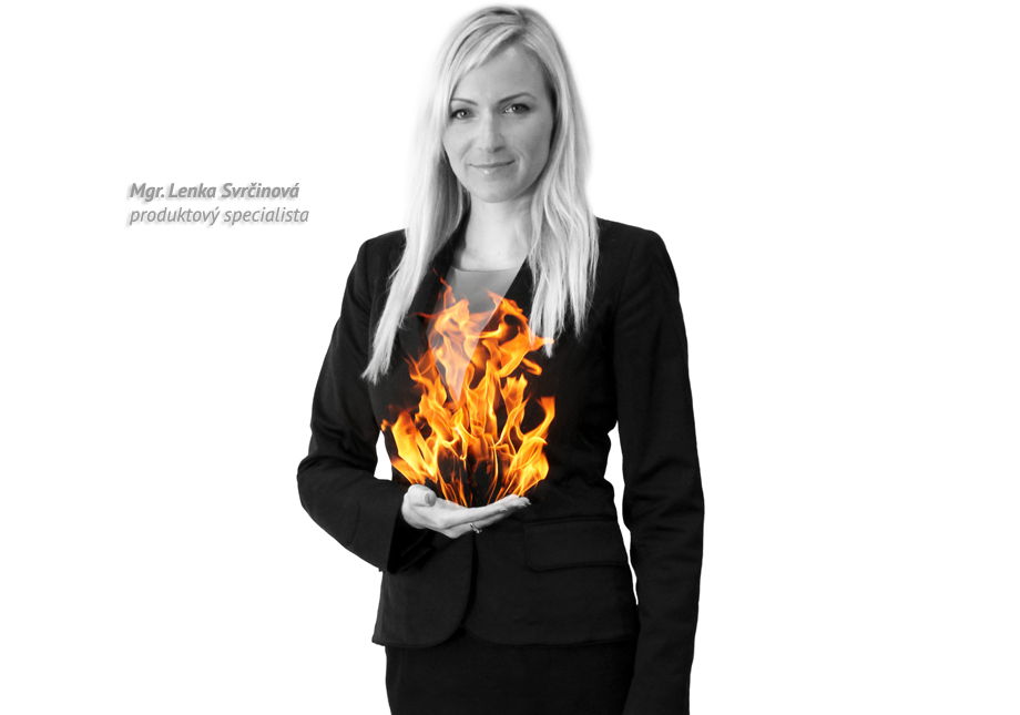 fakturační systém